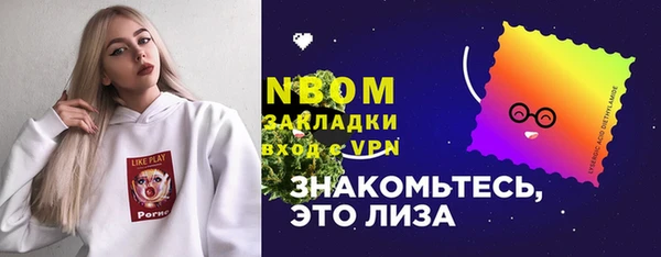 дживик Инта