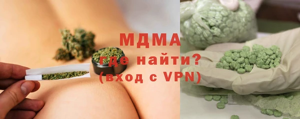 шишки Ельня