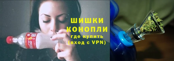 прущие грибы Алексеевка