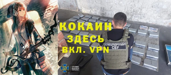 прущие грибы Алексеевка
