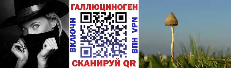 Галлюциногенные грибы прущие грибы Гусь-Хрустальный