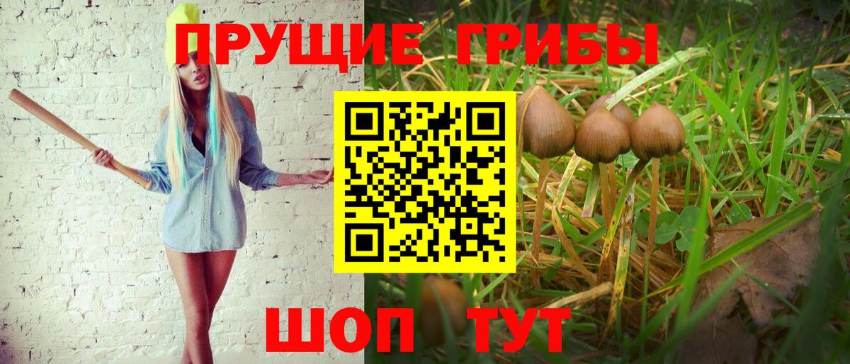 Гусь-Хрустальный  Галлюциногенные грибы мицелий  Вход с VPN 